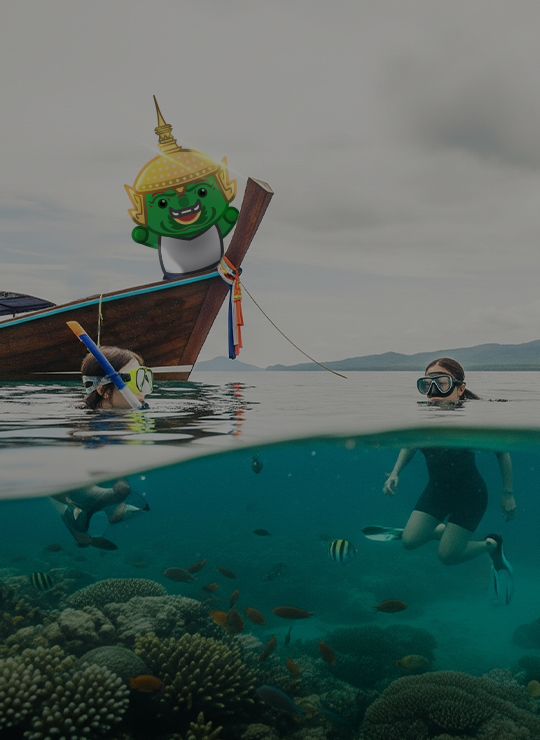 ทัวร์ดำน้ำตื้น