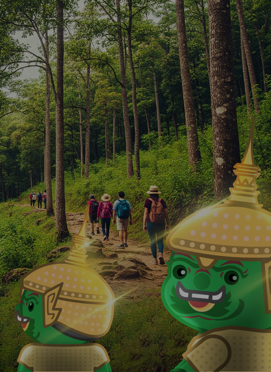 ทัวร์เดินป่าและปีนเขา